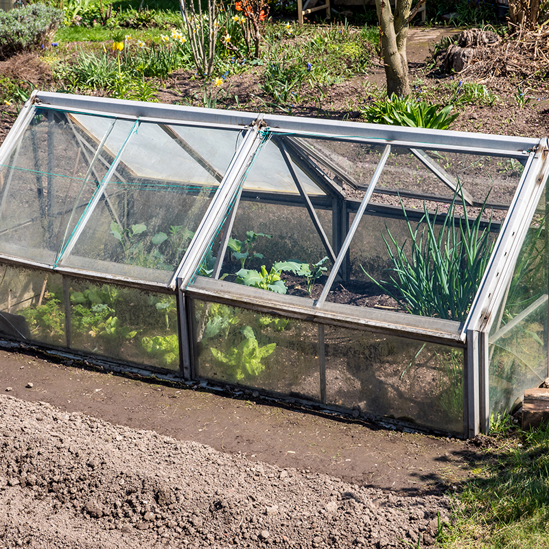 Cold Frame Glazing Cut to Size